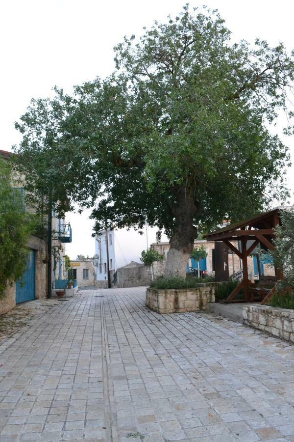 Malietzis House Villa Pano Arodes Exterior photo